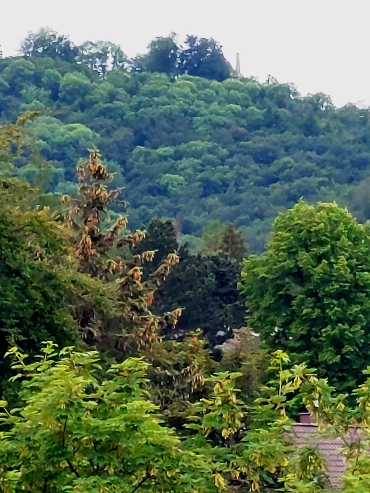 Burgberg-Blick Appartement Bad Harzburg Buitenkant foto