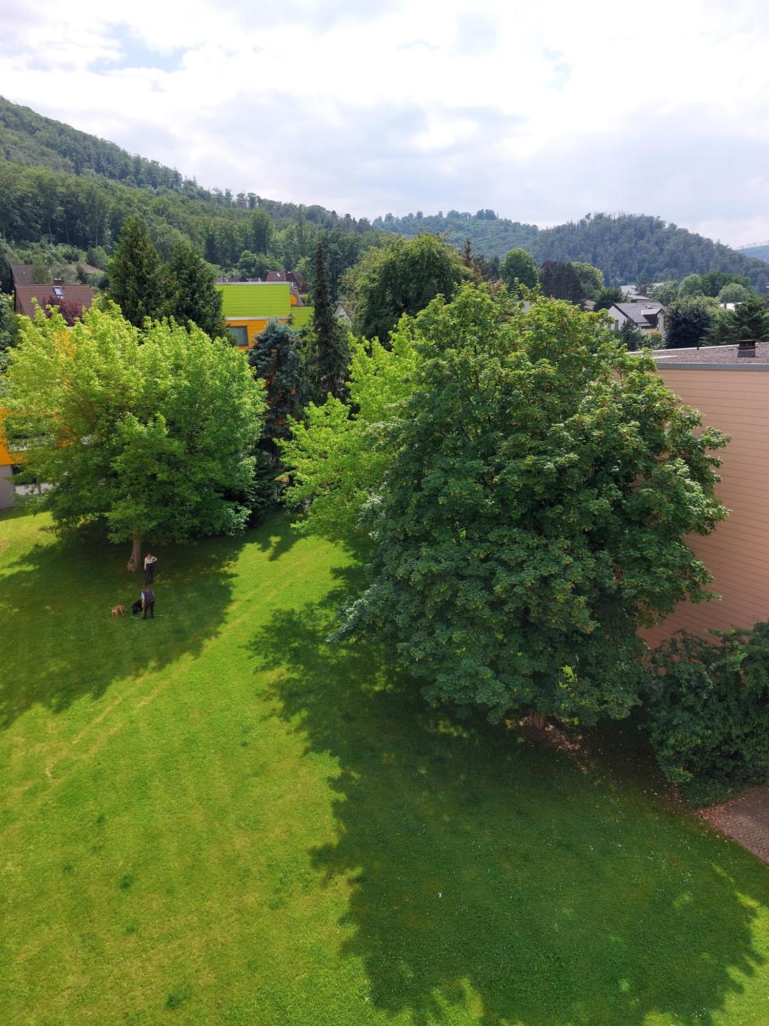 Burgberg-Blick Appartement Bad Harzburg Buitenkant foto